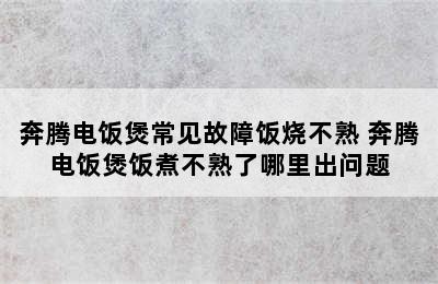 奔腾电饭煲常见故障饭烧不熟 奔腾电饭煲饭煮不熟了哪里出问题